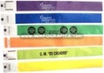 Pulseira Inviolável Controlo de Acesso 25mm